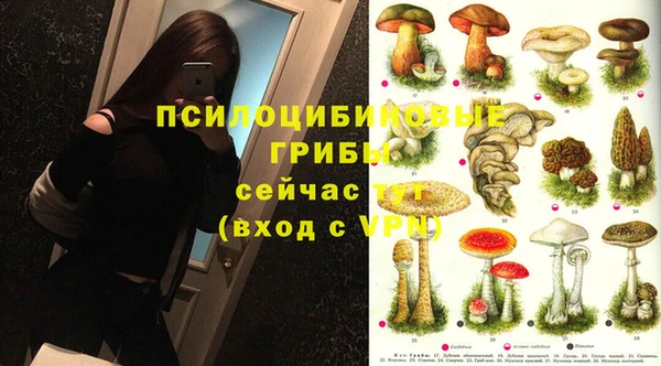 бутират Снежинск