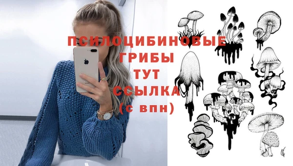 Альфа ПВП Мегион