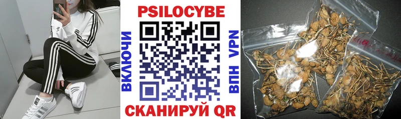 Галлюциногенные грибы GOLDEN TEACHER  купить наркоту  Цимлянск 